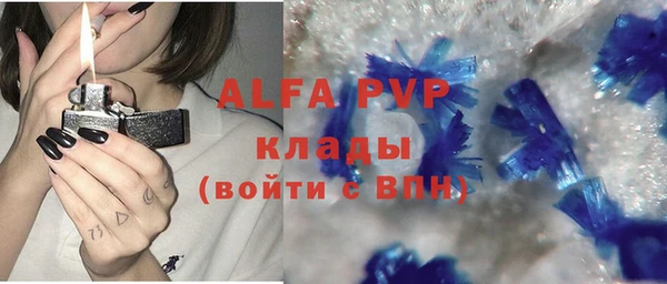 прущие крисы Надым